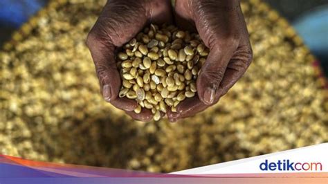 Harga Kedelai Impor Naik Bikin Pusing Perajin Tahu Tempe Hingga Mogok