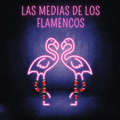 Las Medias De Los Flamencos Song By La Yerra Maldita Spotify