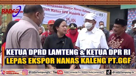 Ketua DPRD Lamteng Ketua DPR RI Lepas Ekspor Nanas Kaleng PT GGF