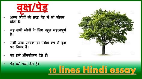 Tree Essay In Lines Lines On Tree Hindi Youtube