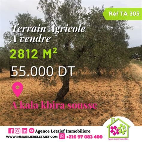 Terrain Agricole A Kalaa Kbira Tunisie Affaires