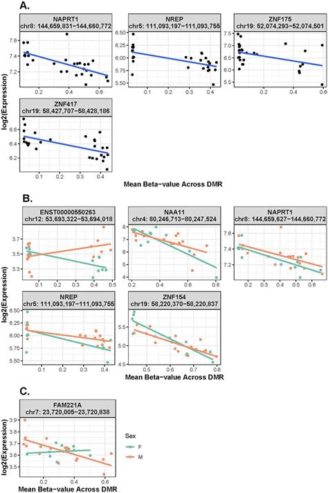 Boxplots Of Association Between Gene Level Expression And Dna