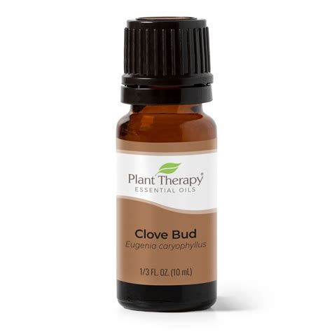 Plant Therapy Clove Bud Essential Oil 100 Pure Undiluted Natural