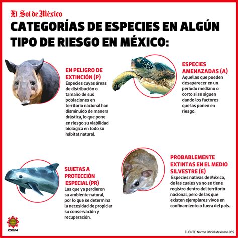 Especies en extinción un riesgo para todos El Imparcial de Oaxaca