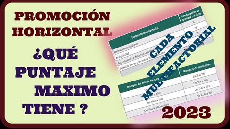 Qu Puntaje Tienen Elementos Multifactoriales De Promoci N Horizontal