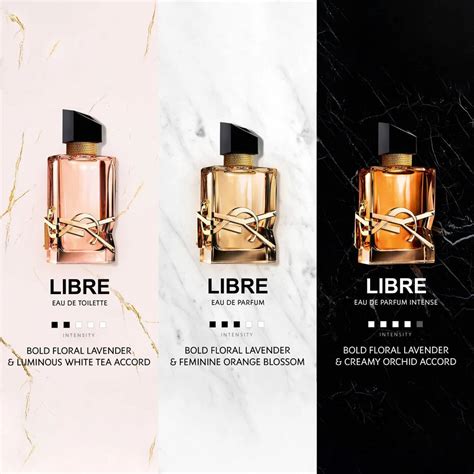 Libre by YSL Eau de Parfum Intense for women | Perfume Planet