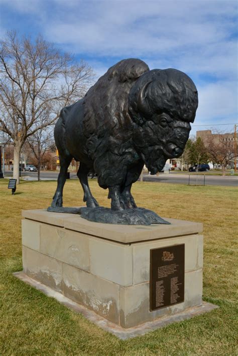 Bison Arts Cheyenne
