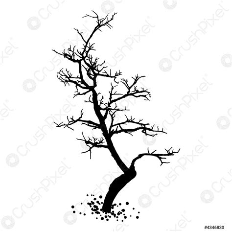 Nackter Baum Silhouette Hand Gezeichnet Isolierte Form Des Baumstamms