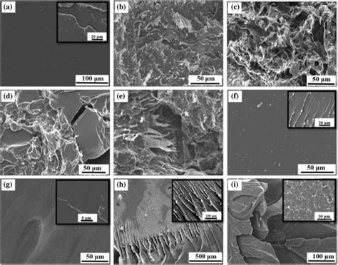 Sem Images Of Fracture Surface Of Broken Tensile Epoxy Nanocomposites