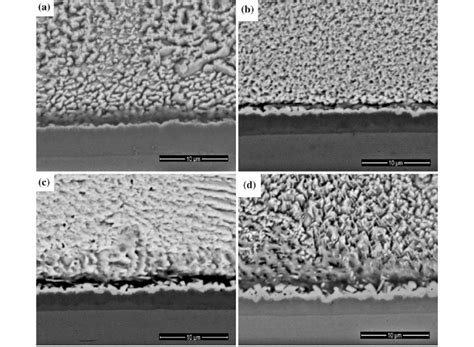 Cross Sectional Images Of The Interfacial Reaction Layers Between