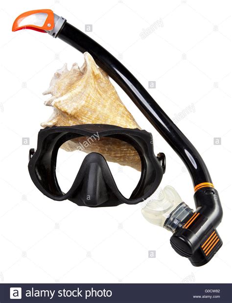 Snorkeling background Cut Out Stock Images & Pictures - Alamy