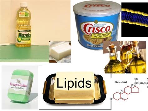 Examples Of Lipids Are Waxes Oils And Fats Soda Recipe Almond