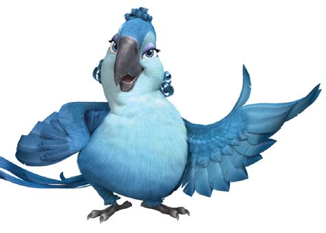 ‘rio 2 Bird Watchers Guide The Boston Globe