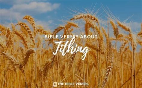 15 Bible Verses About Tithing - Scripture Quotes