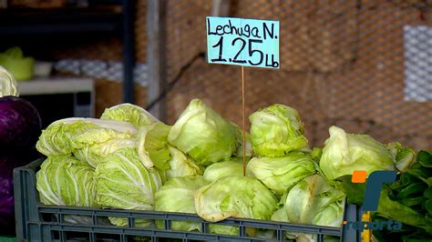 Telemetro Reporta On Twitter V Deo Aumenta El Precio De La Lechuga