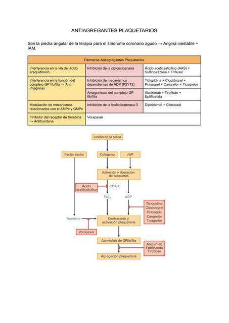 6 Antiagregantes Plaquetarios Romero Rivas María Alejandra Udocz