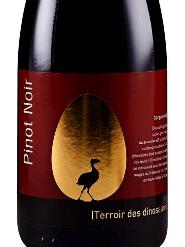 Anne De Joyeuse Terroir Des Dinosaures Gargantuavis Pinot Noir Vivino