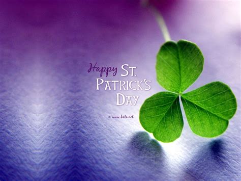 St Patricks Day Cats Wallpapers Wallpaper Cave