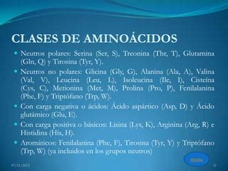 Biomoleculas Ppt