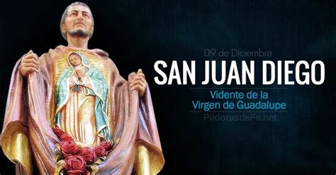 San Juan Diego Vidente De Nuestra Señora De Guadalupe