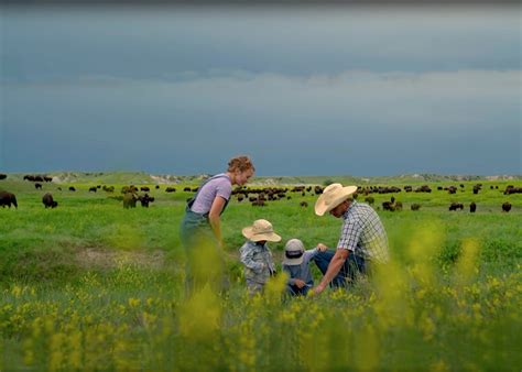 Our Bison Impact: Making a Positive Ecological Change – Wild Idea Buffalo