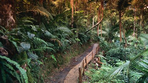 Ecoturismo Un Viaje A Los Parques Nacionales Del Caribe