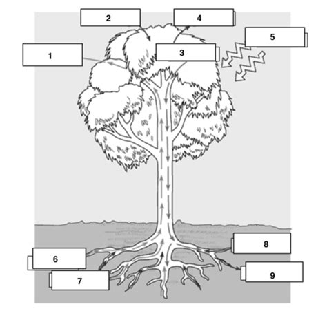 Unit 4 Review Flashcards Quizlet