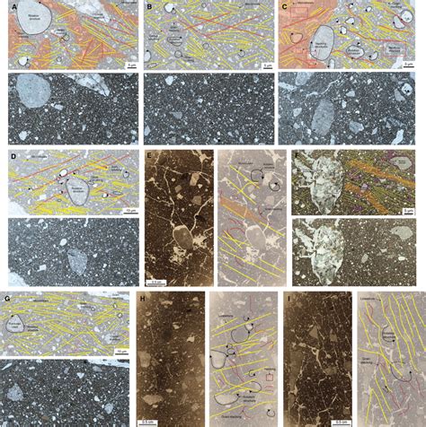 A‐i Northwestern Exposure Thin Section Photomicrographs Samples A Download Scientific