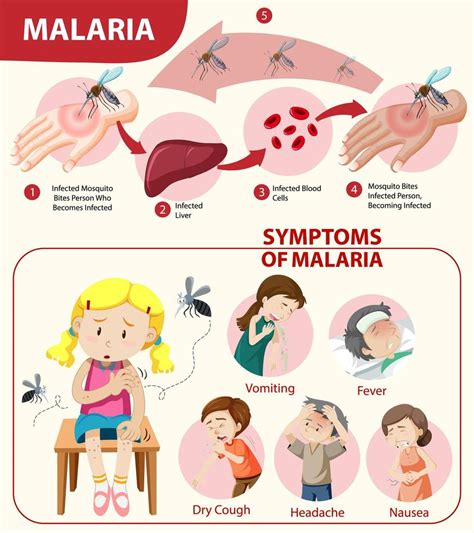 Infogr Fico De Informa Es De Sintomas De Mal Ria Vetor No Vecteezy