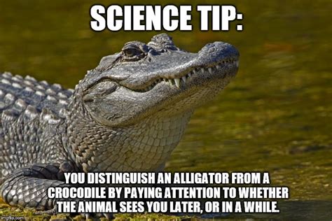 A Scientifically Accurate Way to Tell the Difference Between an ...