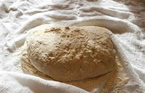 Rustic No-Knead Bread Recipe - Brand New Vegan