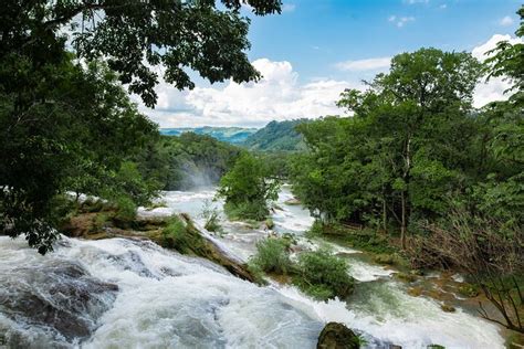 Tripadvisor Tour zu den Wasserfällen Agua Azul und Misol sowie zur