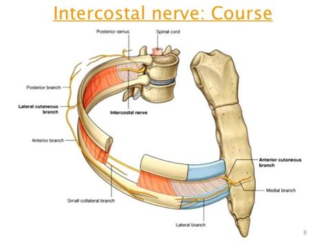 Injection for Shingles Pain & Post-herpetic Neuralgia?