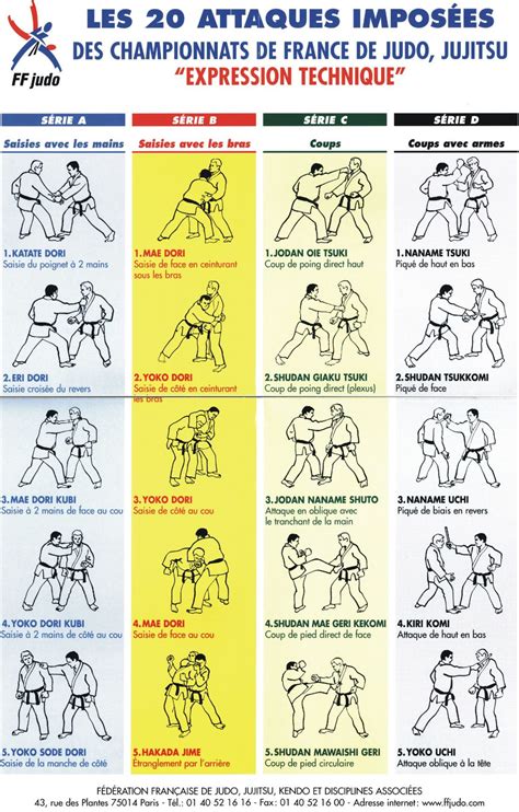 Les 20 TECHNIQUES IMPOSÉES de JU-JITSU - Le blog de Marcq Judo-Jujitsu