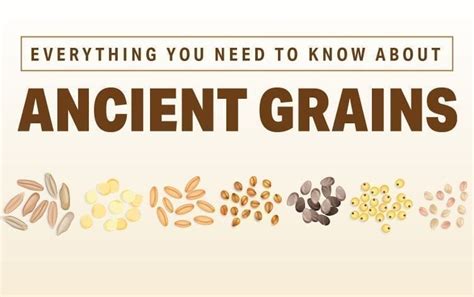 Everything You Need To Know About Ancient Grains Nutrition Myfitnesspal