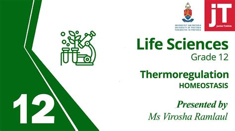 7 Gr 12 Life Sciences Endocrine System Homeostasis Thermoregulation Youtube