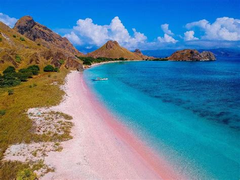 Ini Dia Cara Menuju Pantai Pink Lombok Beserta Biayanya Netecho Info