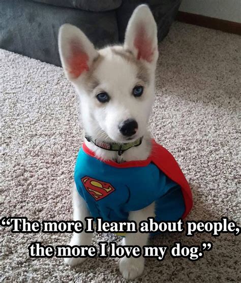 10 Dog Quotes That Will Inspire Any Dog Owner - I Heart Pets