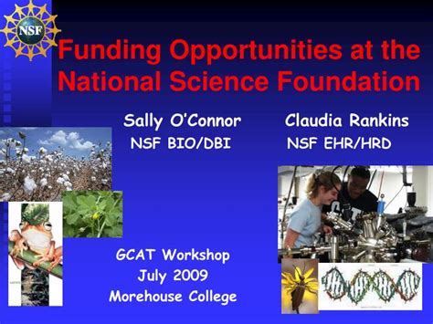 PPT - Funding Opportunities at the National Science Foundation ...