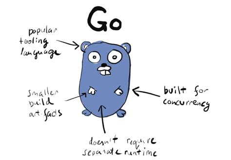 Hire Golang Developers How To Guide For 2025 ProCoders