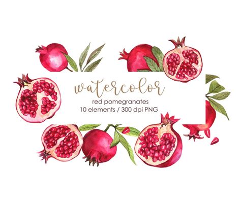 Red Pomegranates Clipart Watercolor Pomegranate Png Painted Etsy