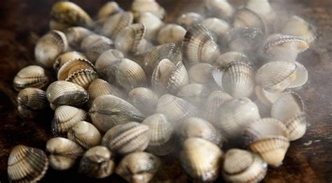 How To Eat Clams Preparation Tips And Recipes Fine Dining Lovers