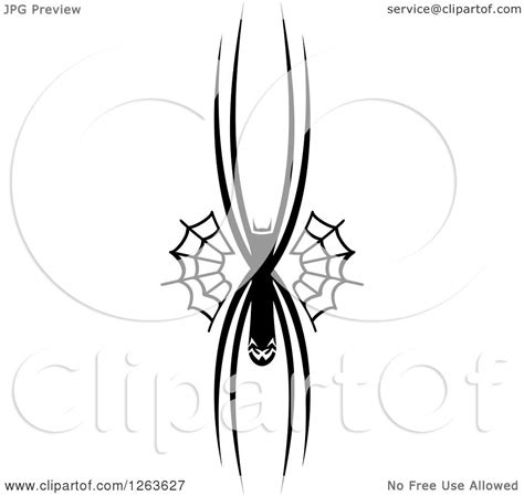 Clipart Of A Black And White Spider And Web Royalty Free Vector