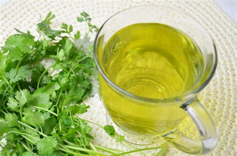 Cilantro Leaf Tea For Detox And Anti Inflammation Yin And Yang Living