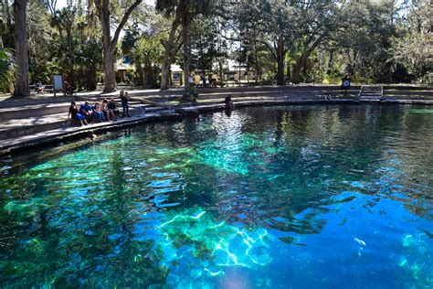 Juniper Springs in Ocala National Forest - The Adventures of Trail & Hitch