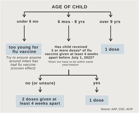 An overview of the flu vaccine — THE PEDIATRICIAN MOM