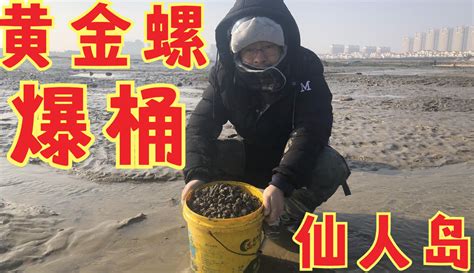 【赶海二哥】二哥仙人岛冬季赶海实录，数不清的黄金螺，是本地特有一种海螺粉丝数58160作品数2697 原创视频 免费在线观看 爱奇艺