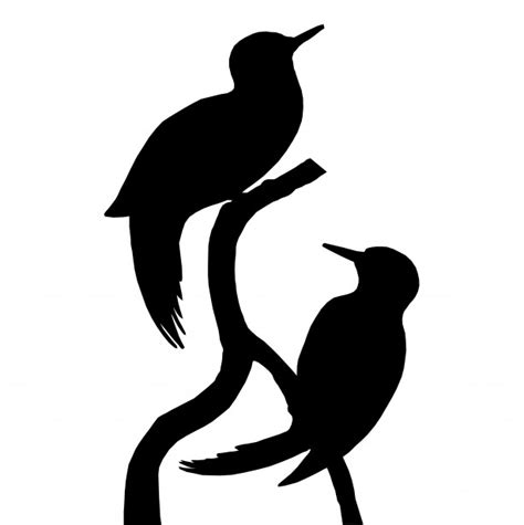 Bird Silhouette Free Stock Photo Public Domain Pictures