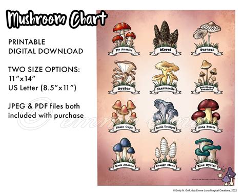 Mushroom Chart PRINTABLE, Two Sizes Included Digital Download - Etsy