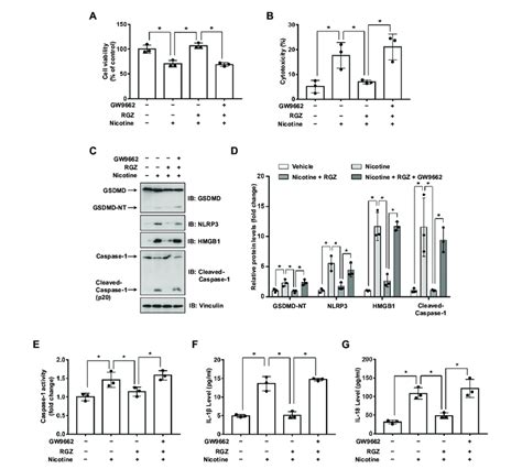 Ppar Activation Attenuates Nicotine Induced Pyroptosis In Hepatocytes